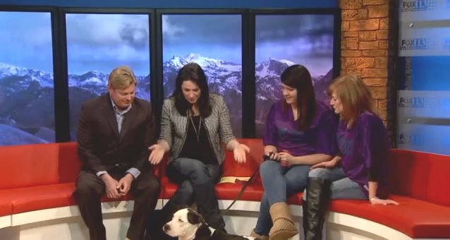 THE APPRECIATION OF BOOTED NEWS WOMEN BLOG : Good Day Utah Guest ...
